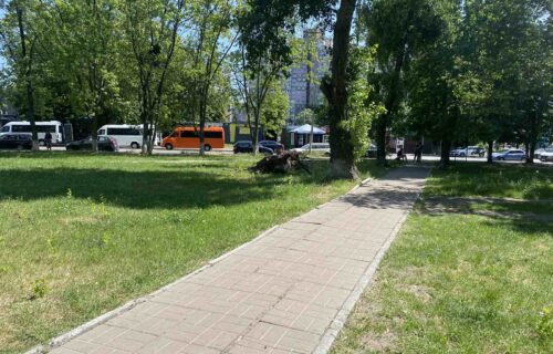 Нотаріус Київ, 03187, проспект Глушкова, 16 (Теремки), Гуцол Анастасія Олександрівна