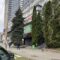 Нотаріус Київ, 03040, Голосіївський проспект, 70, Готель МИР, Сімонова Вікторія Валеріївна